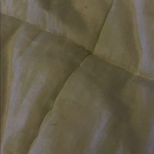 Meet your Posher, Teddy